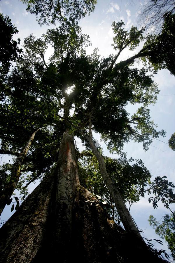 Misahualli Amazon Lodge Екстер'єр фото